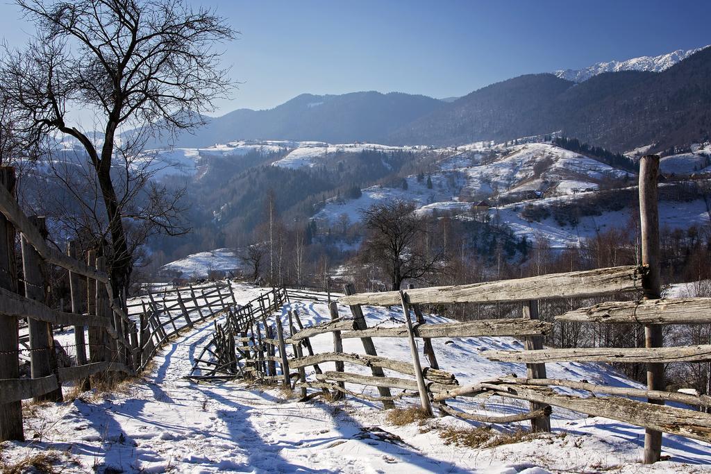 Samedru Hotell Măgura Exteriör bild