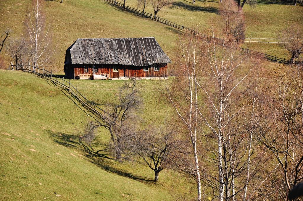 Samedru Hotell Măgura Exteriör bild