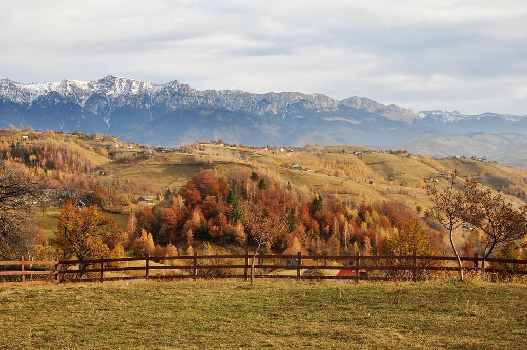 Samedru Hotell Măgura Exteriör bild