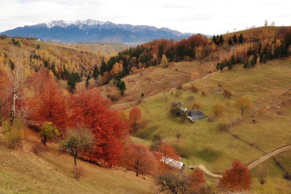 Samedru Hotell Măgura Exteriör bild