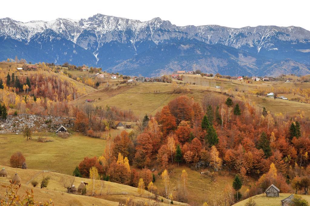Samedru Hotell Măgura Exteriör bild